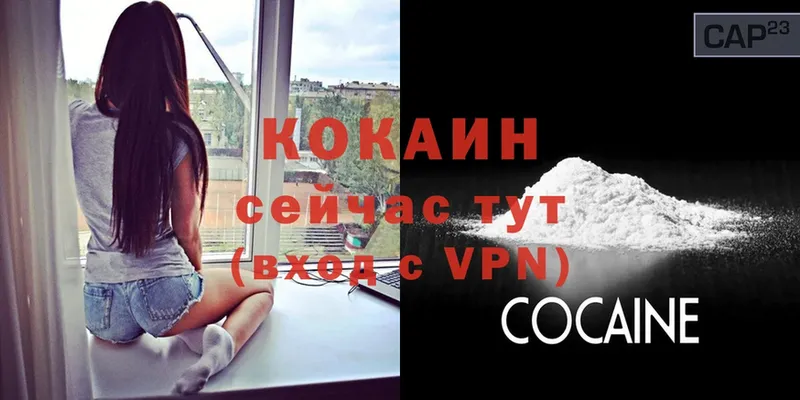 COCAIN FishScale  Вуктыл 